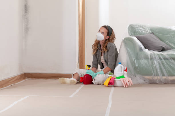Reliable Basement Mold Remediation contractor in Cary, IL by Car Mold Remediation